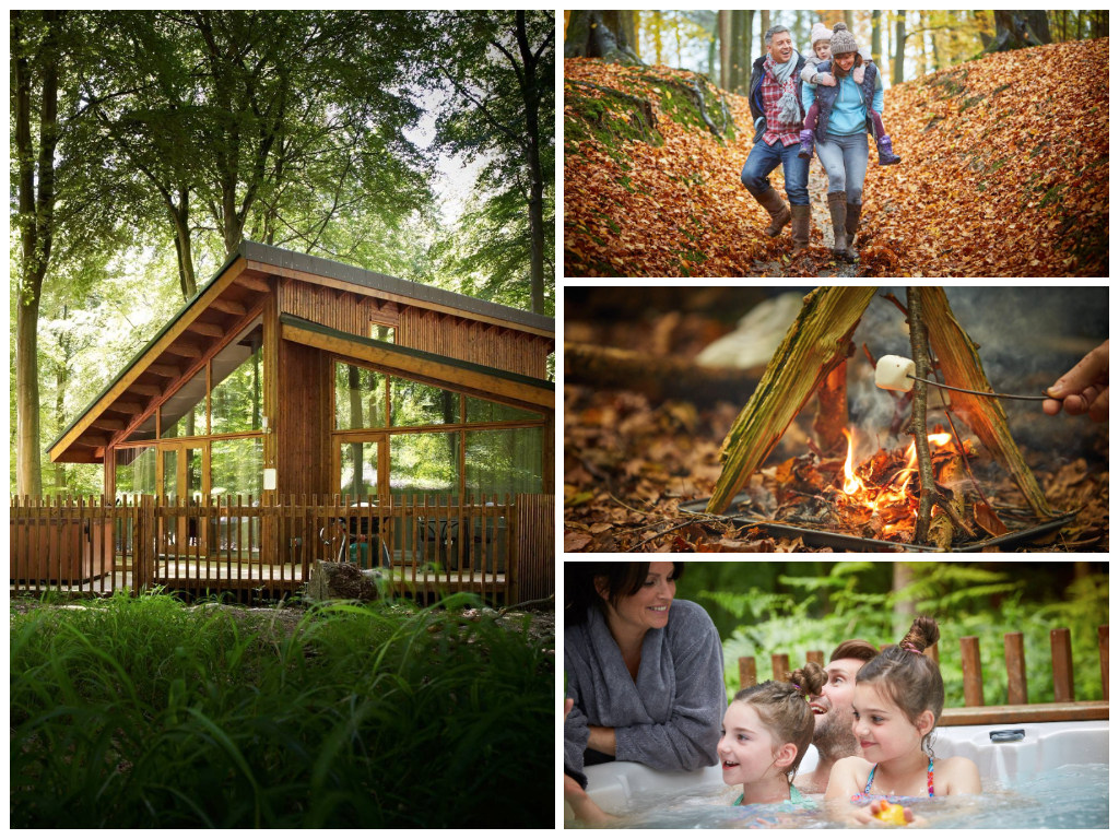 collage of images showing child friendly hampshire holidays at blackwood forest