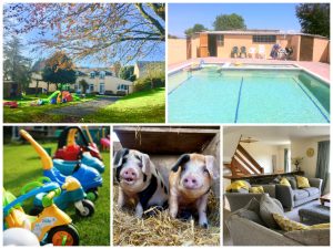 collage of images showing child and family friendly holidays at torridge house cottages