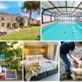 collage of images showing child and family friendly holidays at court farm bude
