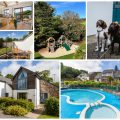 collage of images showing child and family friendly holidays at the park cornwall