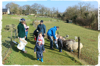 clydey animal feeding