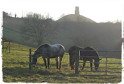middlewick holiday cottages