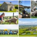 collage of images of child friendly farm stay nettlecombe farm