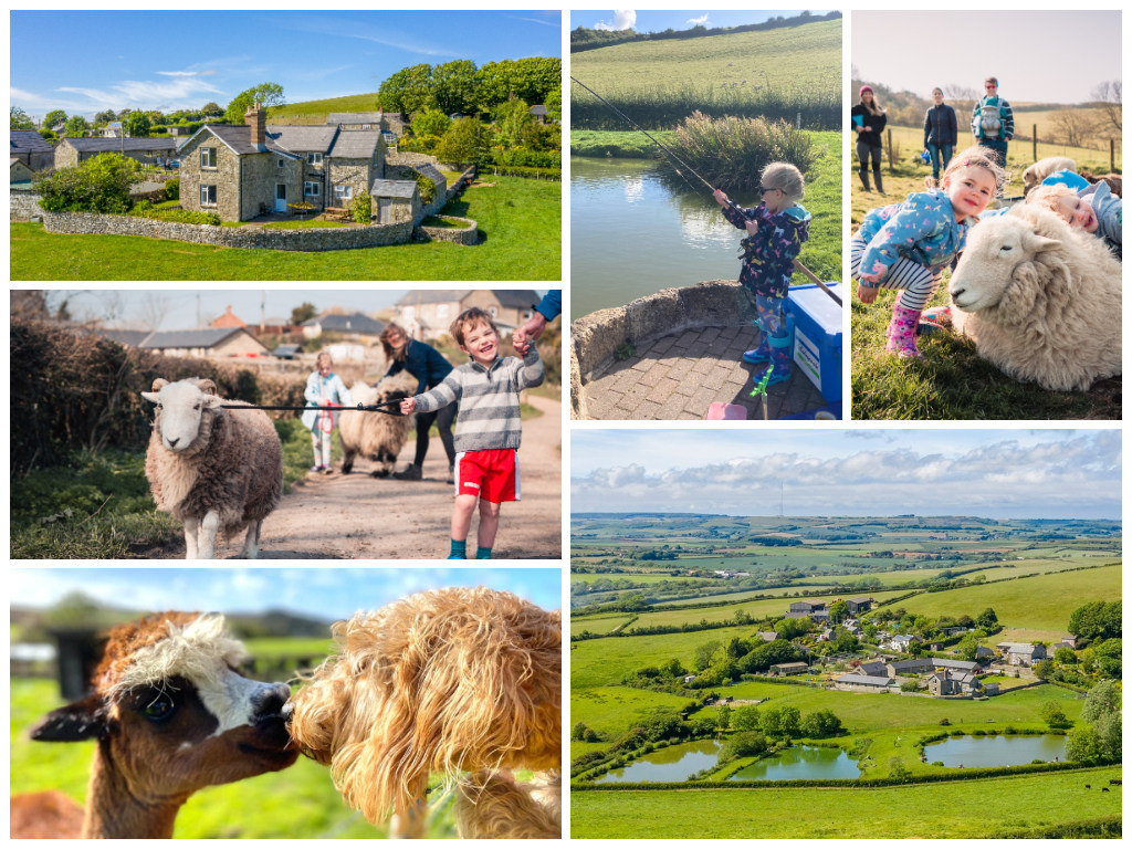 collage of images showing child and family friendly isle of wight holidays at nettlecombe farm