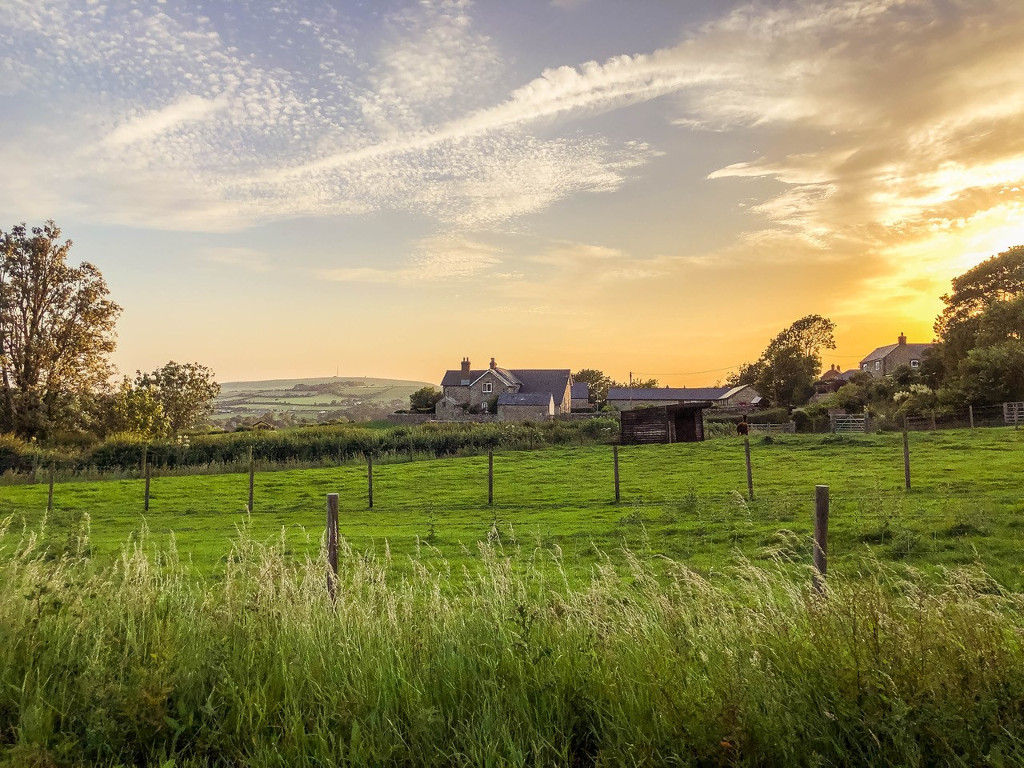 nettlecombe spring