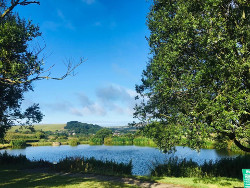 nettlecombe farm