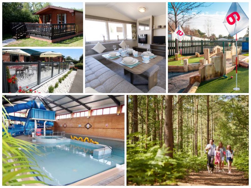 Oakdene Forest Park Child And Family Friendly Dorset Holiday Lodges oakdene-forest-park-child-and-family-friendly-dorset-holiday-lodges