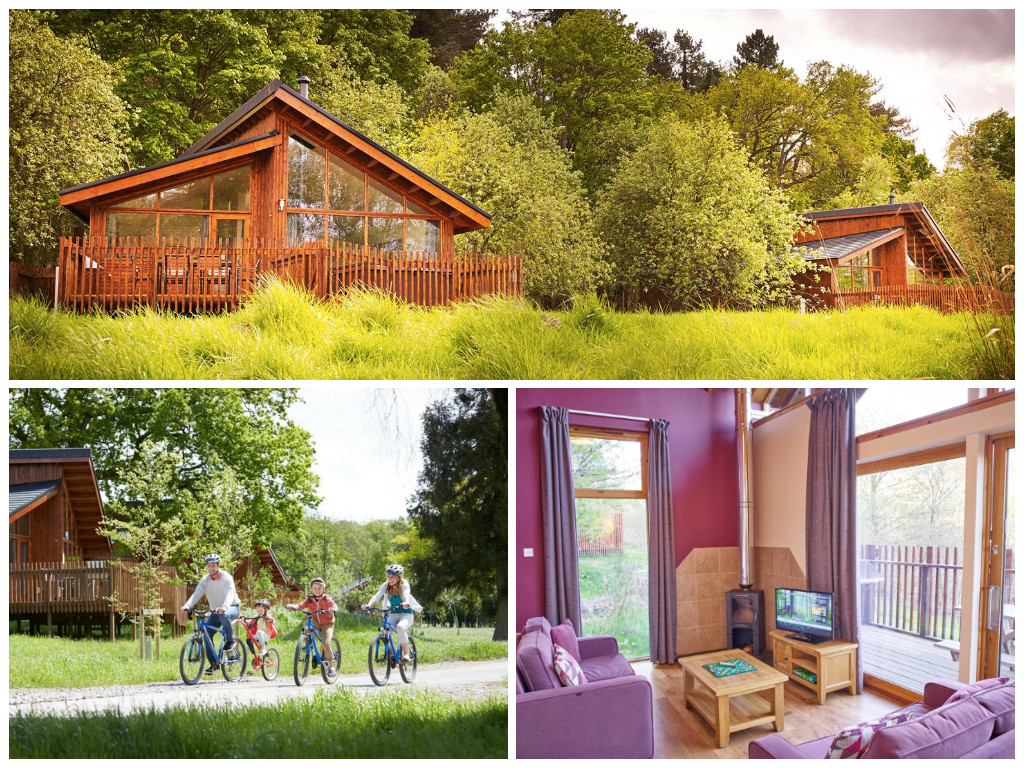 collage of child friendly lodge holidays at thorpe forest