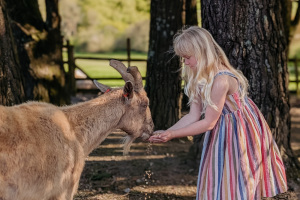 bosinver farm holidays cornwall