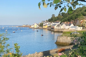 aberdovey hillside village