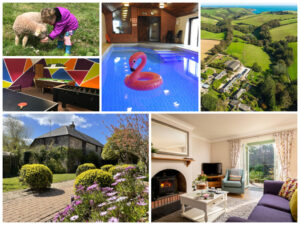 collage of images showing child and family friendly devon holidays at nethway farm