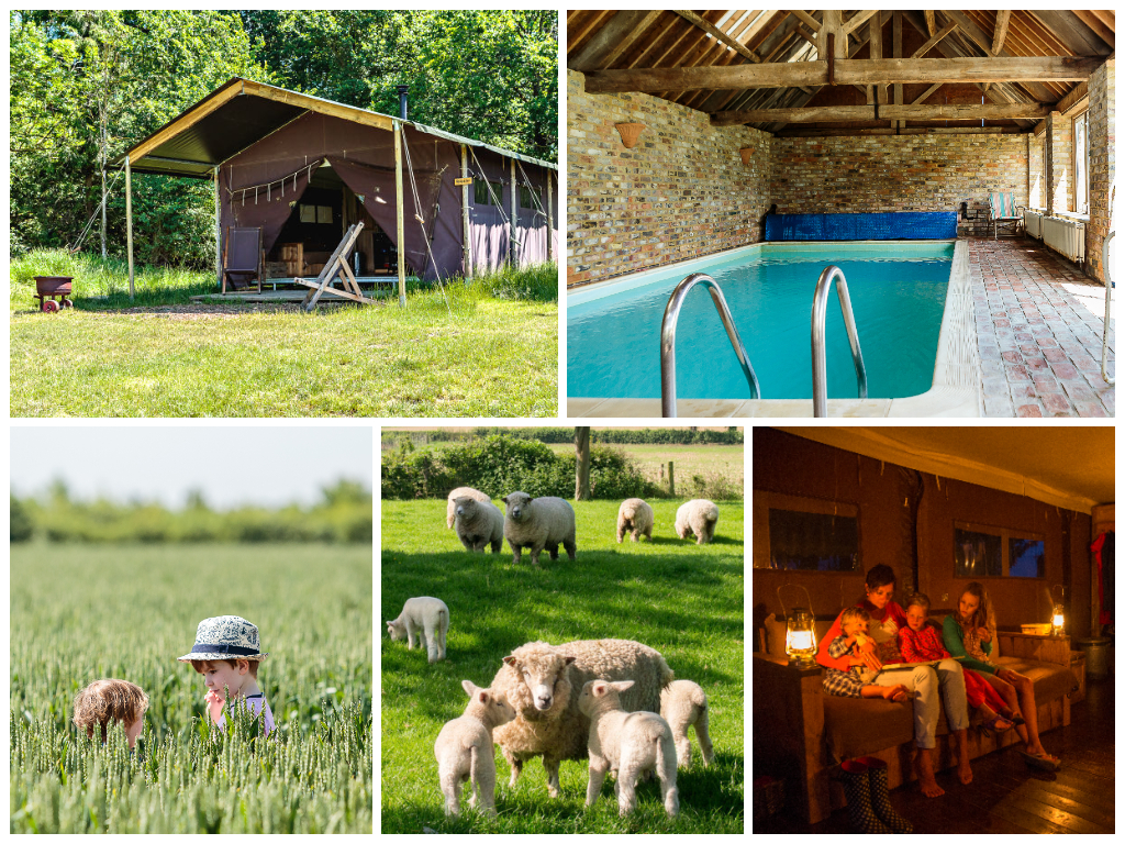 collage of images showing child and family friendly glamping holidays at moor farm