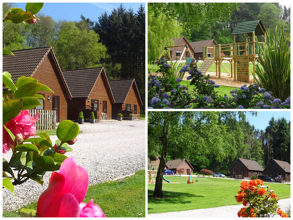 collage of images showing child friendly devon holidays at alpine park lodges