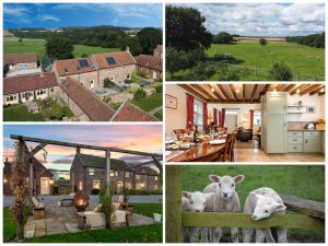 collage of photos showing child and family friendly holidays at broadgate farm cottages