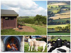 collage of images showing child and family friendly holidays at billingsmoor farm