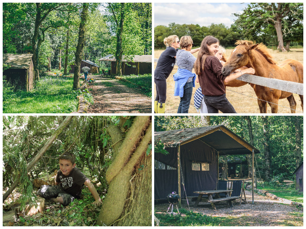 collage of images showing child and family friendly new forest glamping holidays at midgham farm