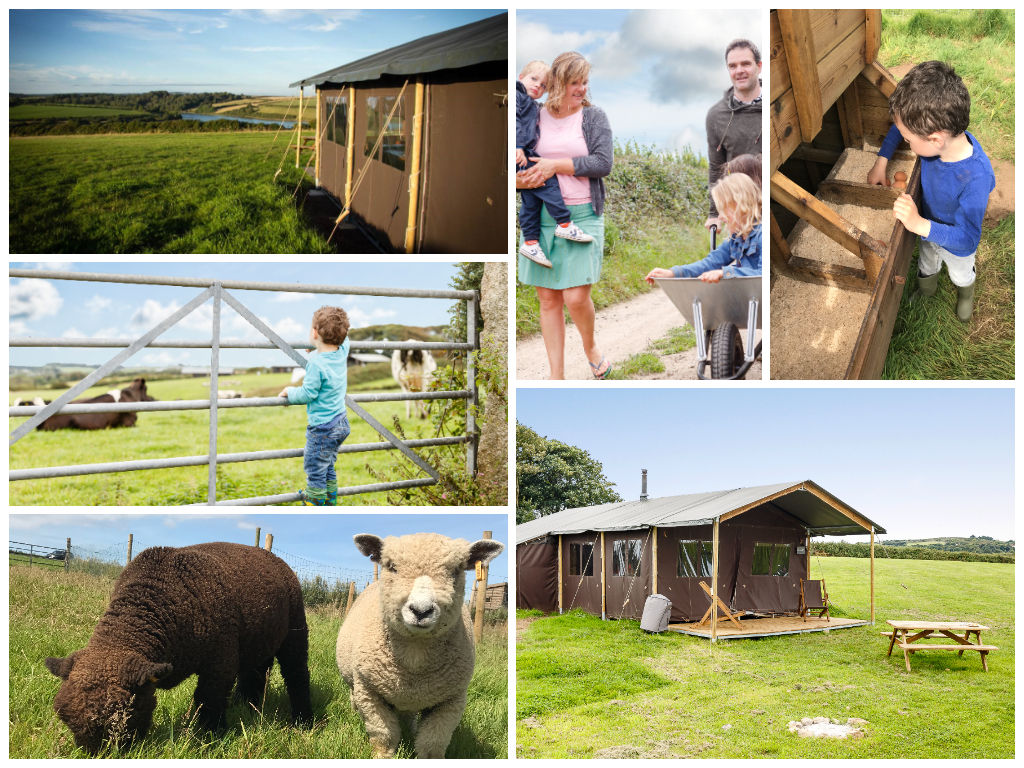 collage of images showing child and family friendly Cornwall glamping holidays at treganhoe farm