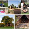 collage of images showing child and family friendly holidays at manor farm hampshire