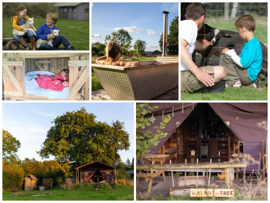 collage of images showing child and family friendly holidays at manor farm hampshire