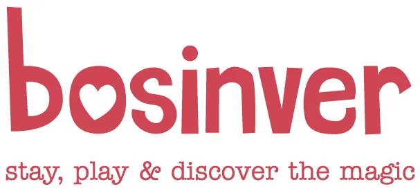 bosinver logo bosinver logo
