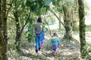 pitt farm 3 pitt farm